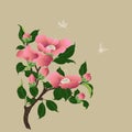 Branch with flowers and buds of camellia. Vector illustration Perfume and cosmetic plants. Wallpaper.